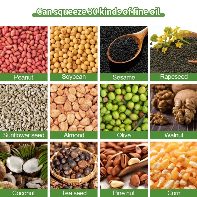 Red Palm Kernel Rice Bran Ground Nut Oil Presser Farm Expeller Pres Make Machine for Manufacturing Plant