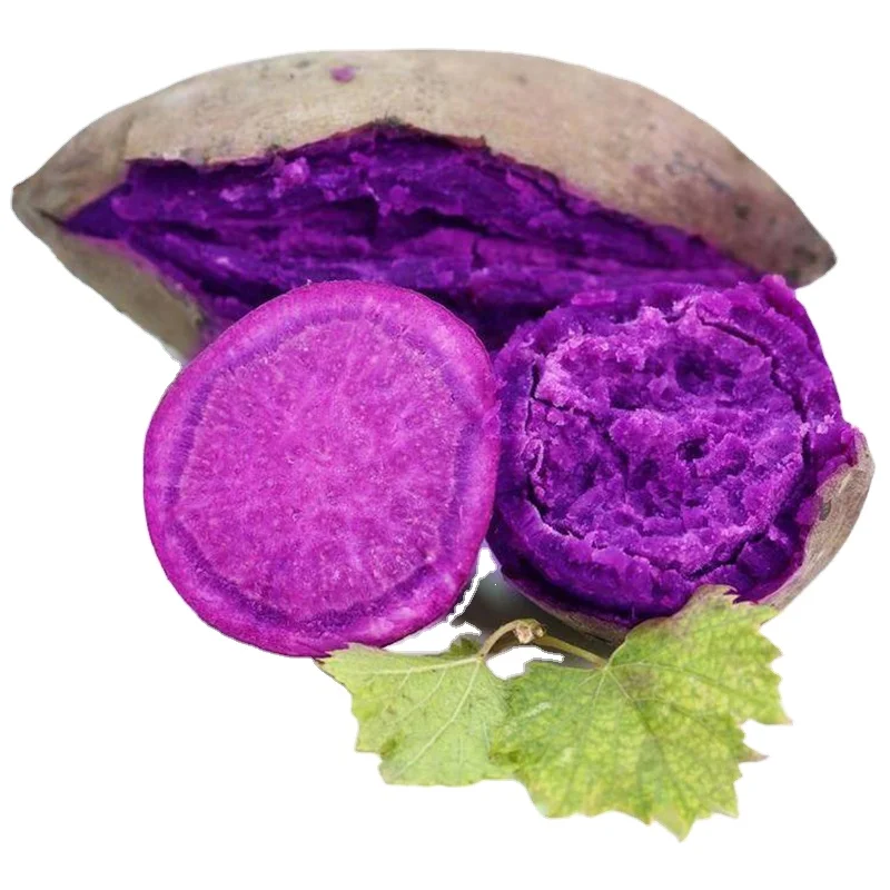 
Support lose weight with contain no fat dishes fresh vietnam japanese sweet purple potato 
