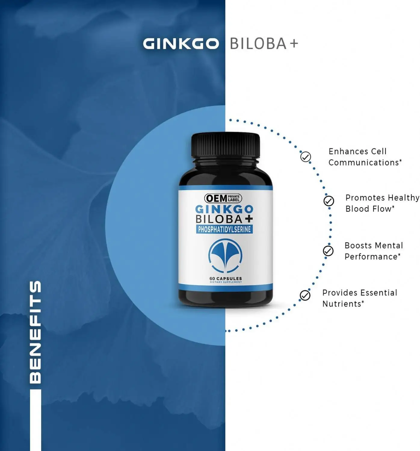 OEM Nootropic Brain Supplement Ginkgo Biloba+ Phosphatidylserine 60 Capsules Helps Improve Mental Performance and Working Memory