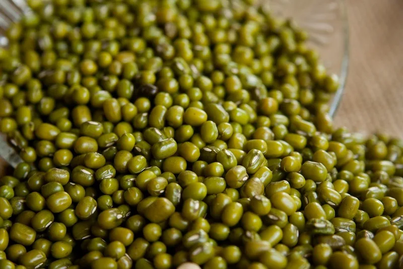 Vietnam Organic green mung beans 100% natural high grade vigna beans for sprouting