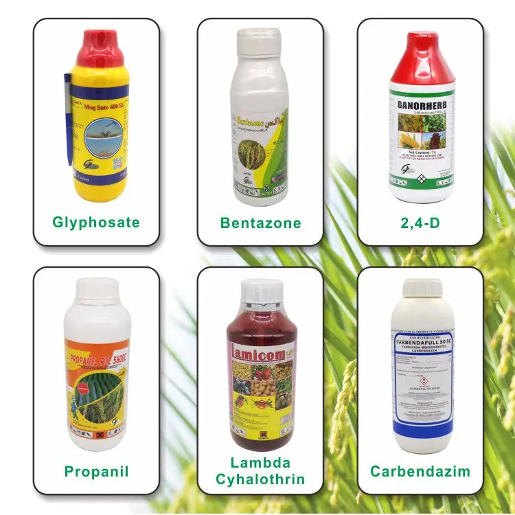 200512 Related Products1