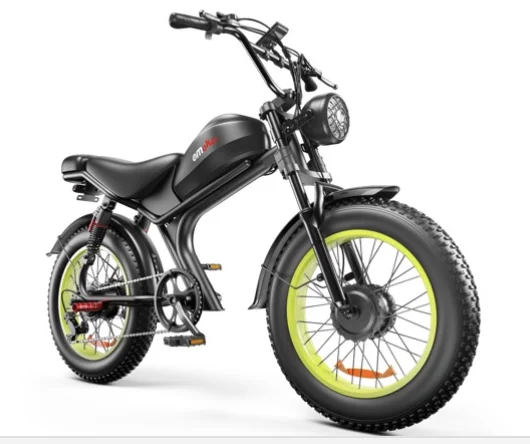 Dual Motors Fat Tire Off-Road Electric Bike 48V C93 1000*2 23ah Battery 7 Speed Customized Logo OEM 1000*2 E-Bike for Eu USA