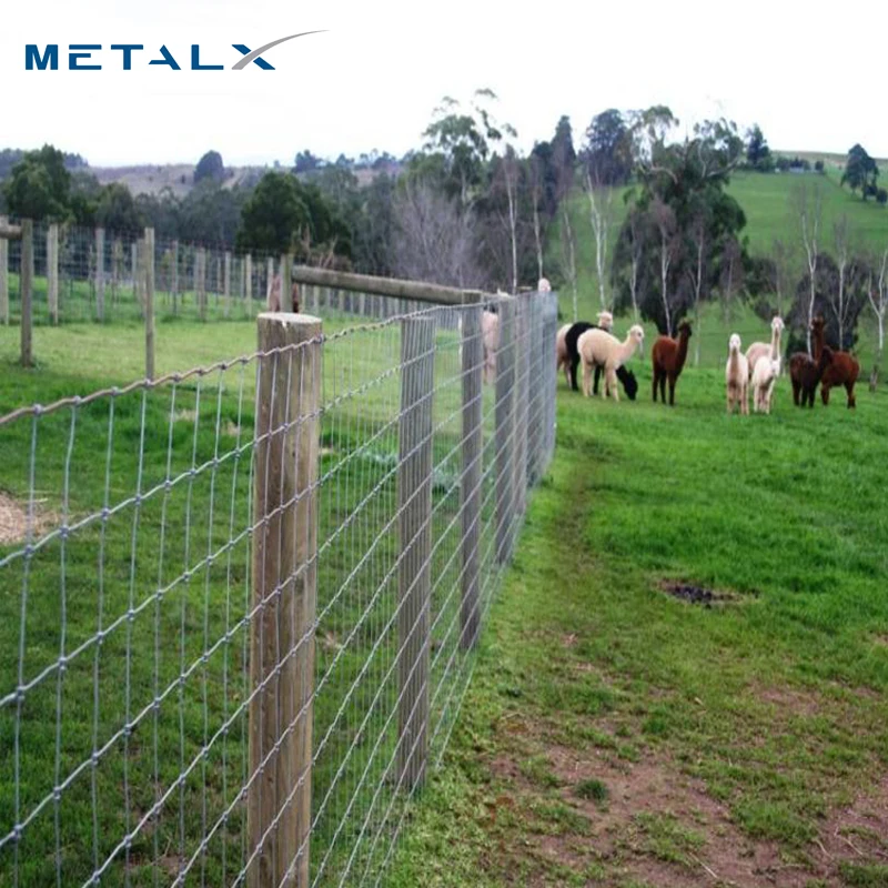 Wholesale galvanized field fence 12.5 gauge goat fence wire mesh veldspan fence 100m by 1.8