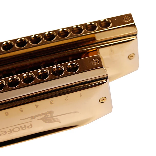 SW1248-4 12 Hole 48 Tone Thick Blow Mouth Practice Playing Chromatic Harmonica Gold
