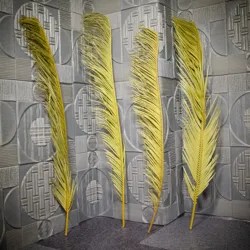 Extra Tall Over 3ft Decorative Flowers Cycas Revoluta Preserved Natural Dried Sago Palm Leaves for Floral Arrangements