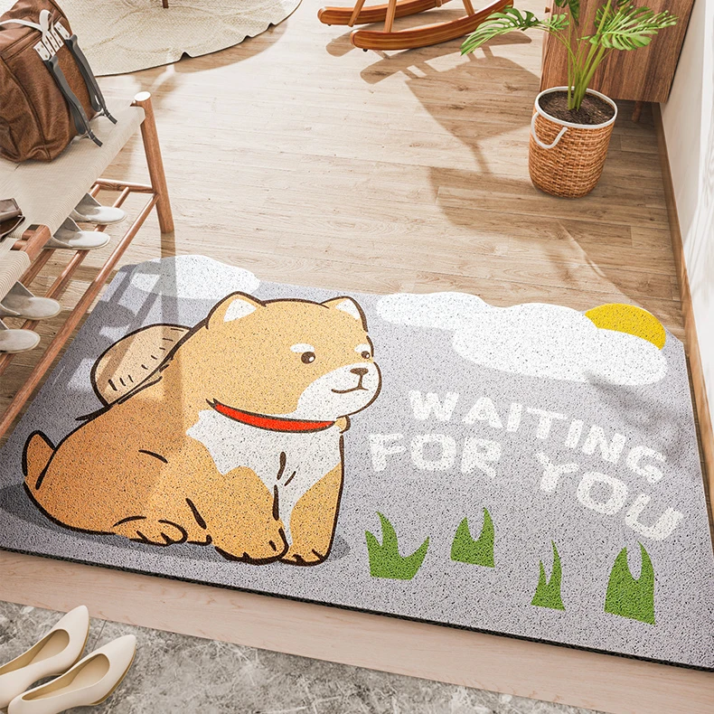 Modern Machine Made Durable Anti-bacteria Welcome Mat Indoor Floor Mat House Floor Hype Door Mats