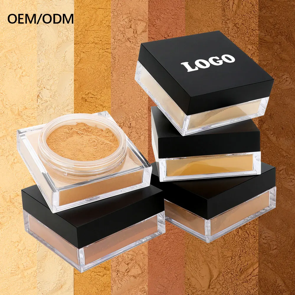 OCHAIN New Design No Logo Custom Logo Oem Odm Talc Free Water Proof Setting Powder