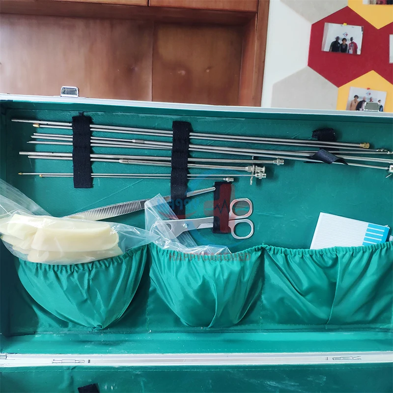 HC-R085 Big Animal Insemination Equipment Box Cattle Gun