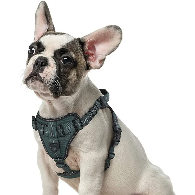 Adjustable Dog Walking Harness with 2 Metal Clips & Shock-Absorbing Bungee Straps
