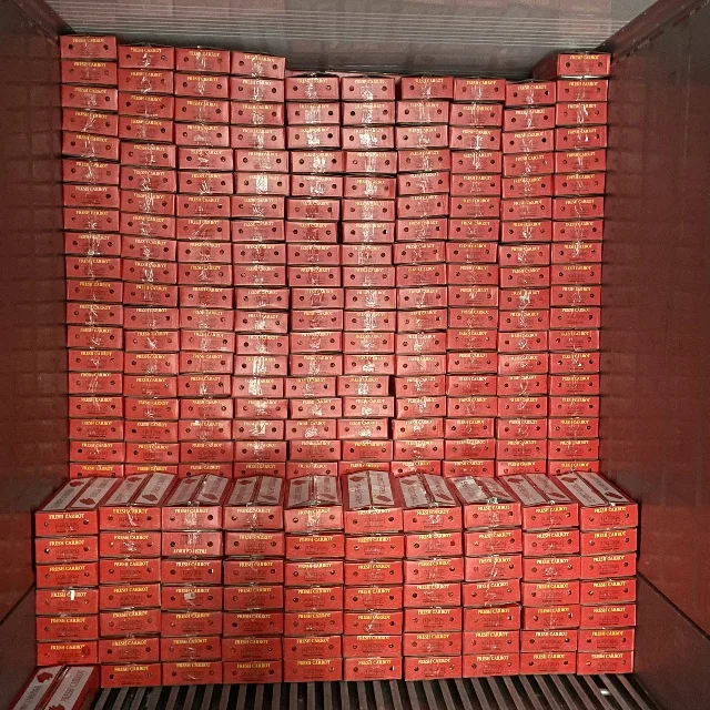 4kg China Fresh Carrot Export Oman  80-150g