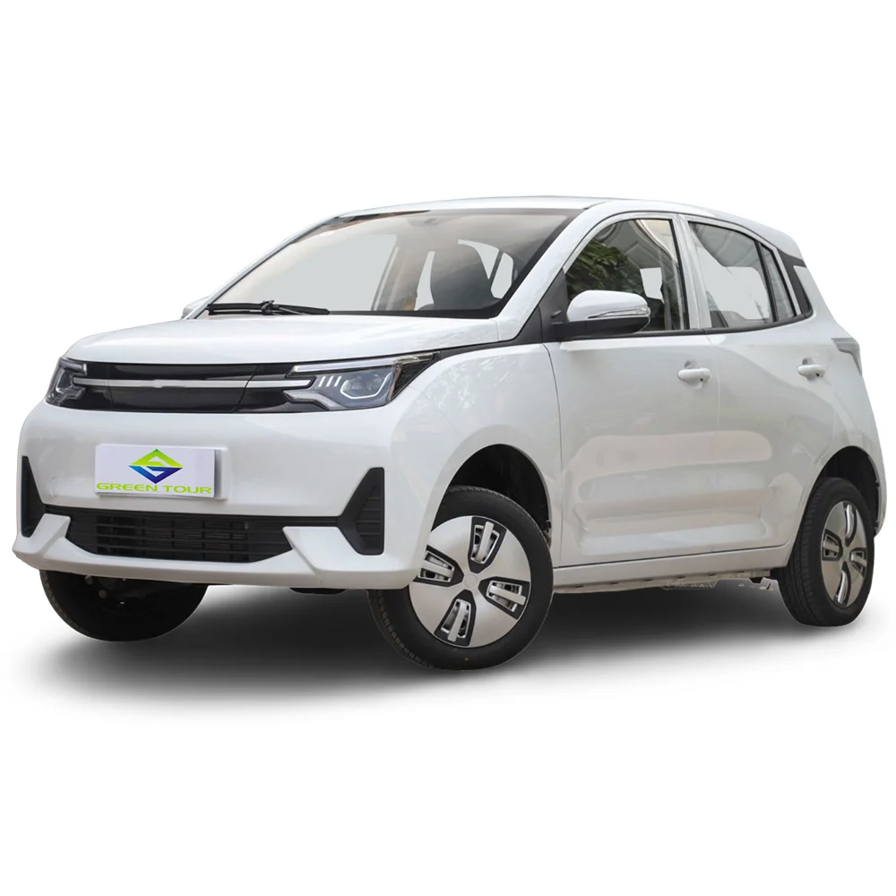 EEC Solar Electric Cars Left Right Hand Drive Electric Cart New Cars Electric