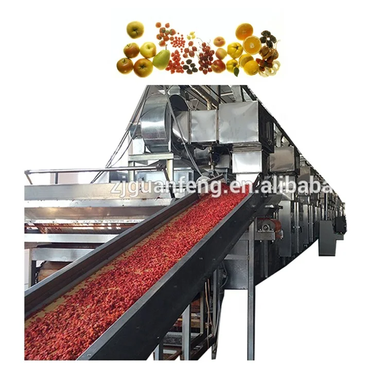 Commercial belt dryer onion fruit industrial vegetable dehydrator fruits dehydrator machine