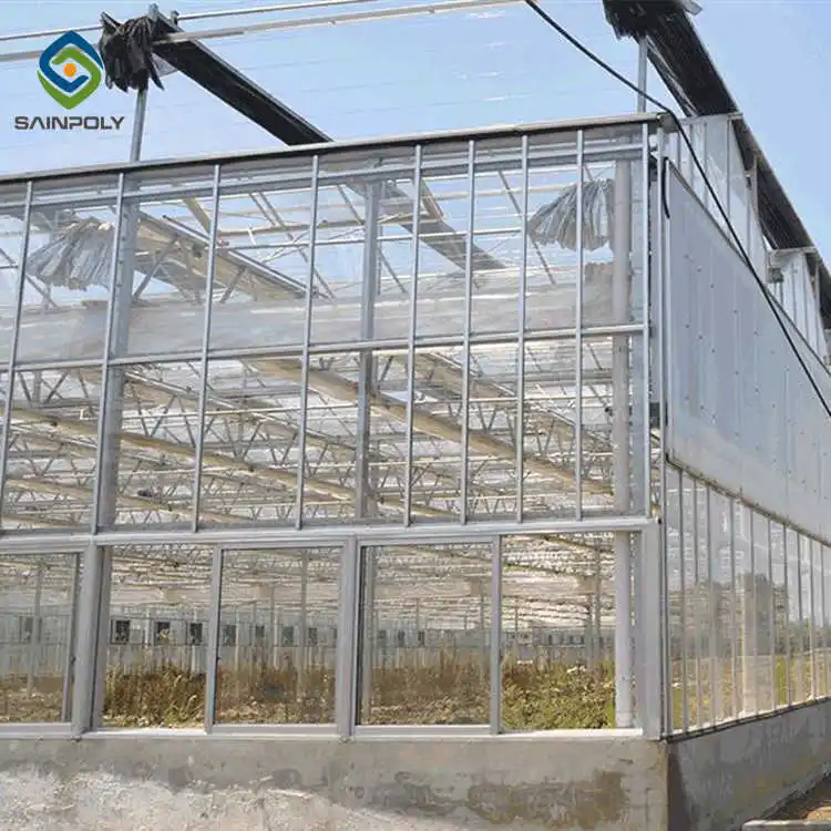 Hot Selling Large Size Sainpoly China Wholesale Glass Multi-Span Greenhouse High Quality and Affordable