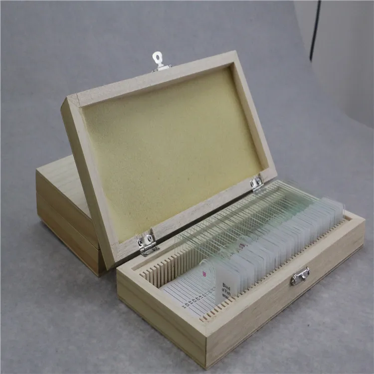 
Biology human pathology teaching diagnosis microscope slides used water park slides for college students learning 