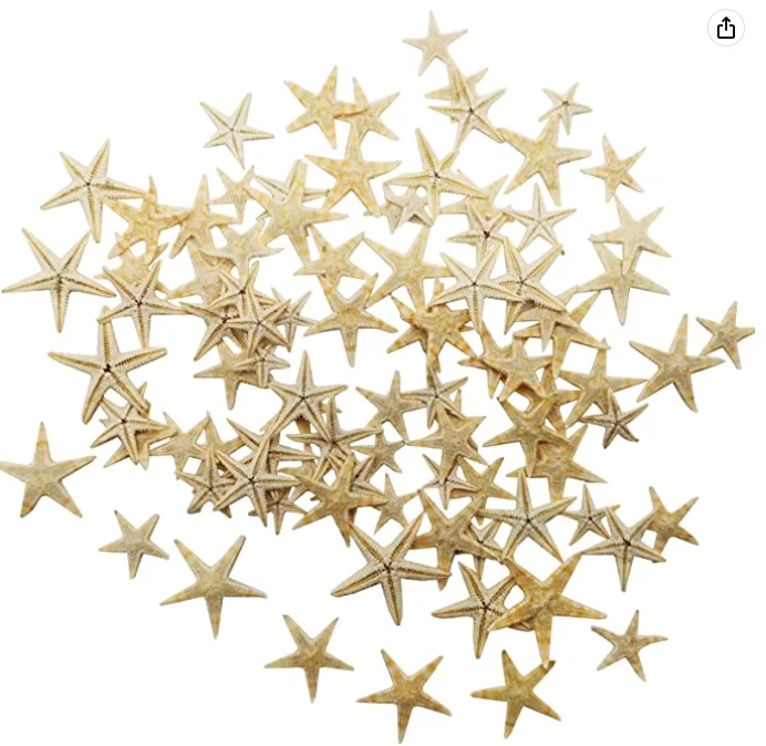 Высокое качество на заказ декоративные ракушки