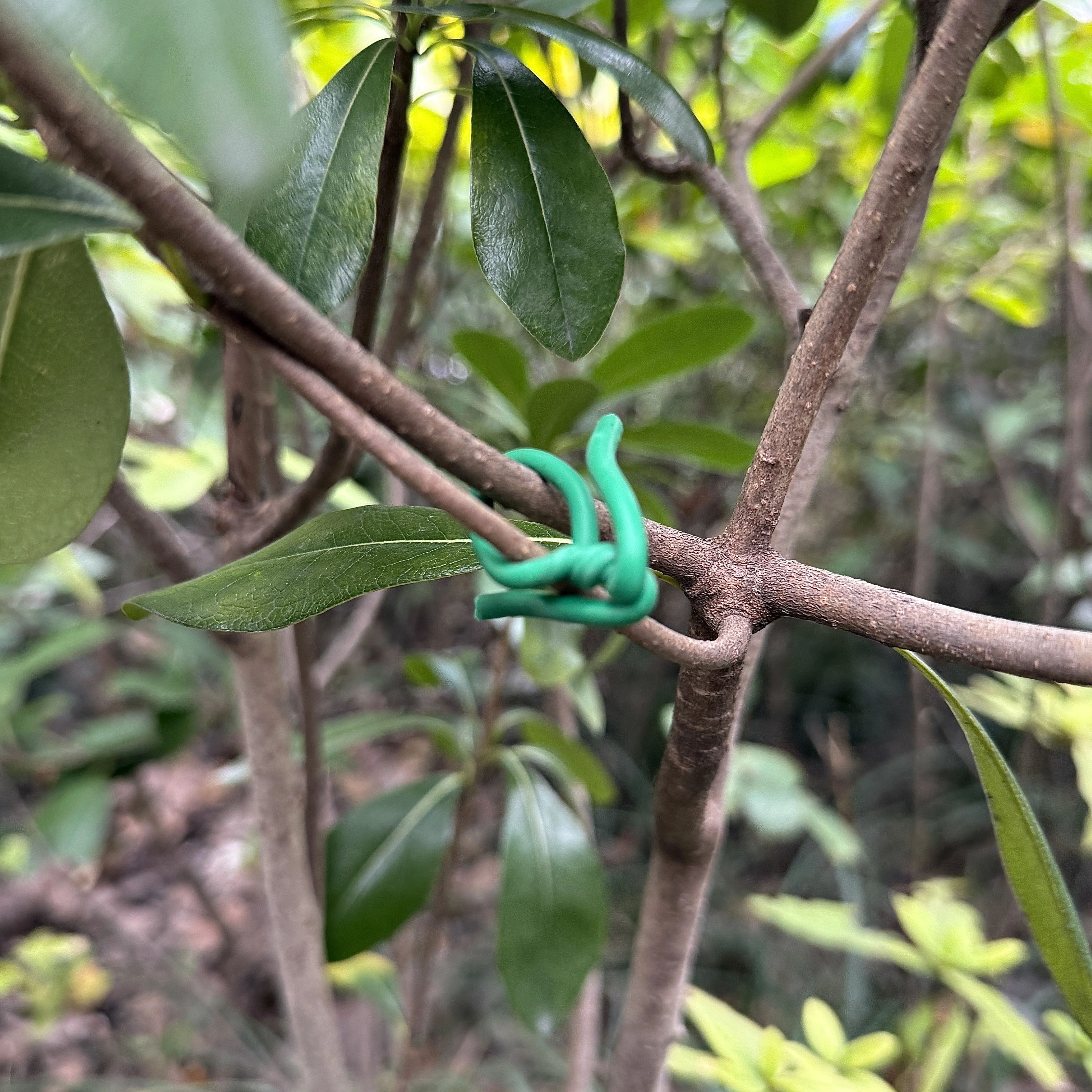 Outdoor Camping Tent Canopy Hydroponic Metal Pulley Rope Ratchet Tensioner Tie Soft Twist Plastic Plant Tie