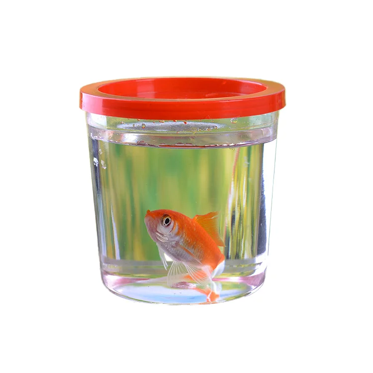 Wholesale Transparent Small Plastic Tanks for Fish Farming Custom Betta Spots Everyday Usage on Water