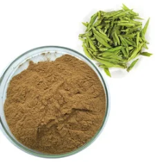 
ISO GMP Factory 100% Natural ecgc extract green tea l-theanine 98.0% 