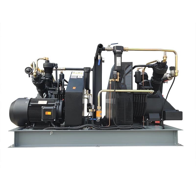 oil free Diaphragm Compressor for Oxygen gas /Nitrogen/Helium/ Hydrogen/Argon/High Purity Gases Booster