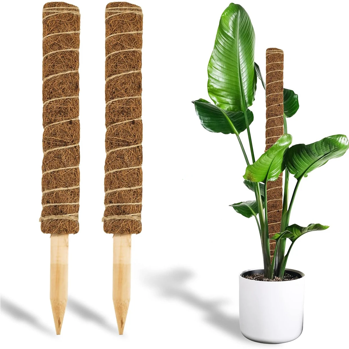 80 cm popular plant climbing pole Coconut palm rod Moss rod supports climbing plants to grow upward