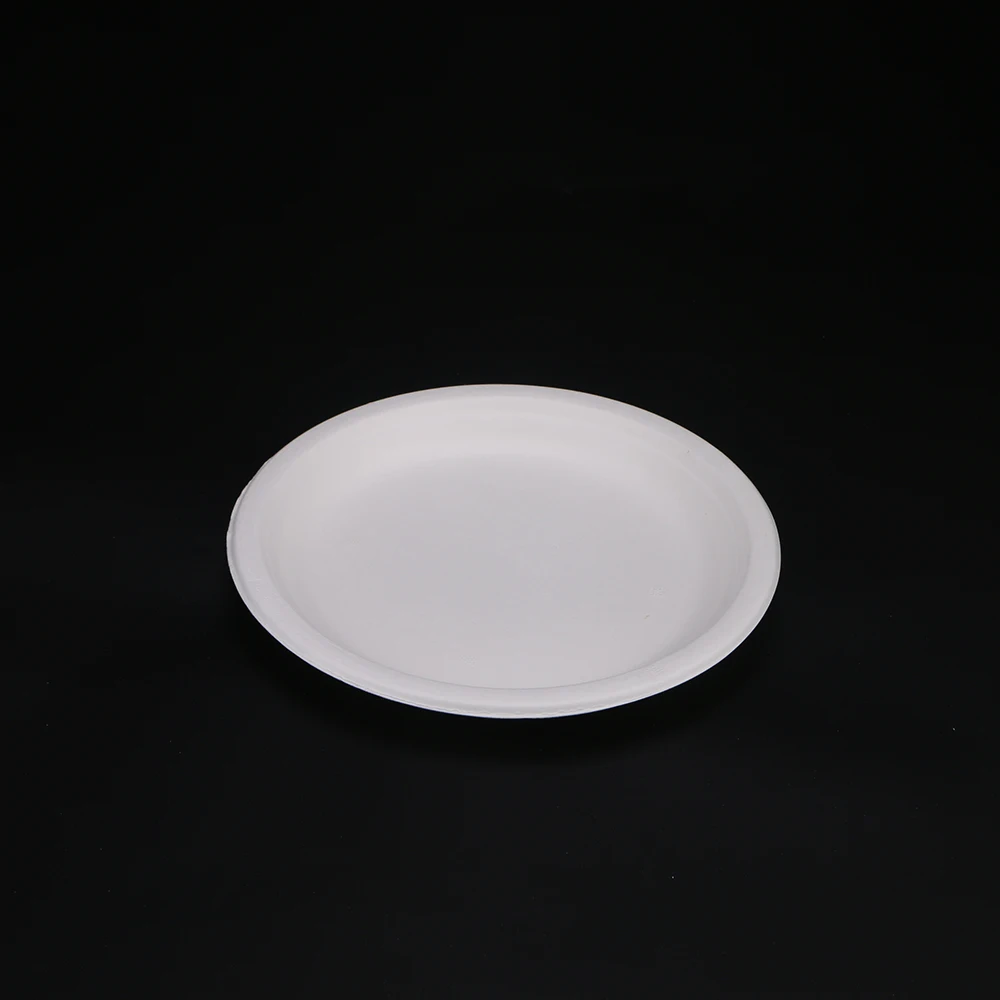 Biodegradable Disposable Sugarcane Bagasse oval