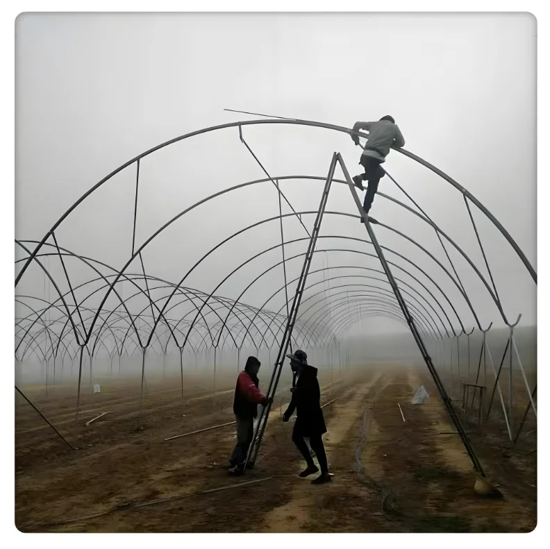 Commercial Large Steel PE Greenhouse Single Square Poly Film Arch Tunnel Type Stable Agriculture Vegetable Rain Shelter Plants