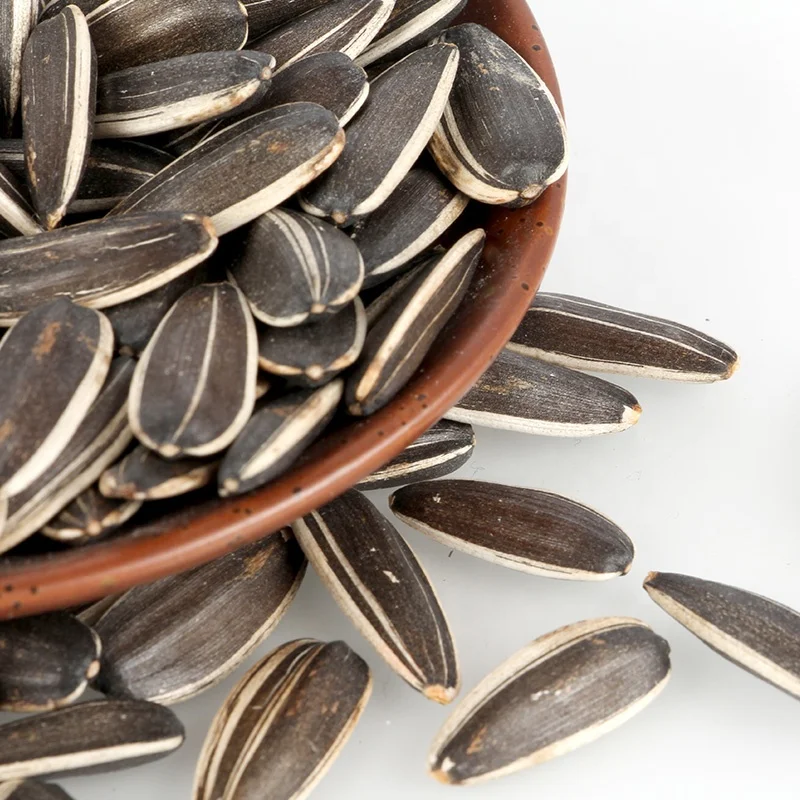 2021 офисные закуски свадебные семена подсолнечника гибридные самые