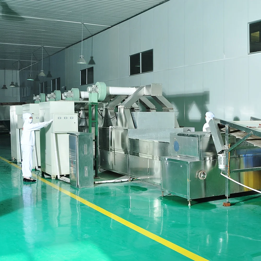 
Wholesale Organic Fresh Dried Jujube Fruit 