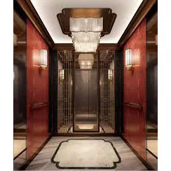 Vvvf Control Delicate Passenger Elevator with CE