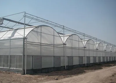Оптовая продажа многопролетная пленка инвернадерос агрокола гидропонная теплица для томатов