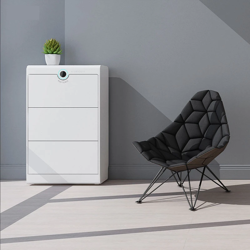 rootsense Disinfection shoe cabinet moisture-proof  disinfection sterilization deodorization shoe cabinet care machine