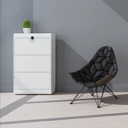 rootsense Disinfection shoe cabinet moisture-proof  disinfection sterilization deodorization shoe cabinet care machine