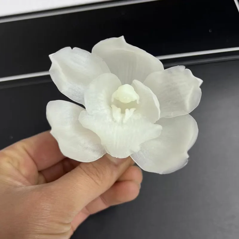 Preserved flower stabilized orchid flowers Cymbidium