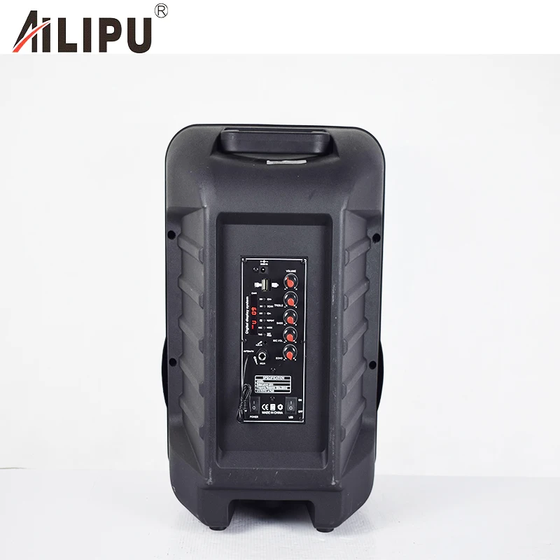 Top Quality 12 Inch Private Mode 20W Rechargeable Trolley Speaker Music Player for Stage