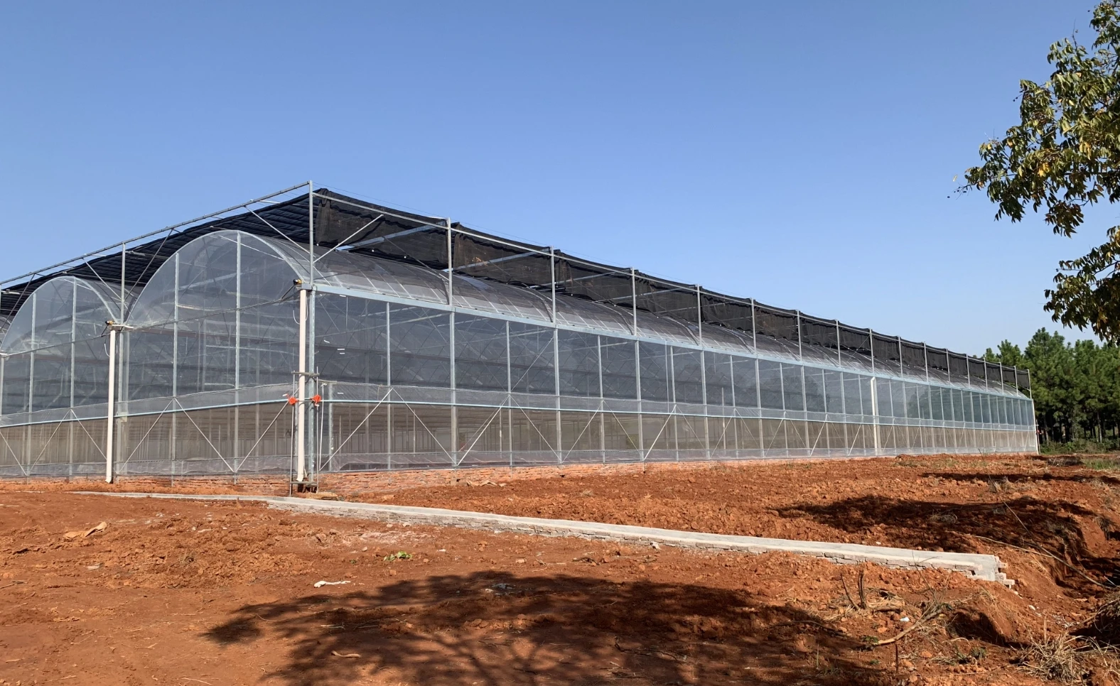 Industrial PE Plastic Film Greenhouse Polytunnel Polycarbonate Agriculture Awning Small Large Layer Greenhouse