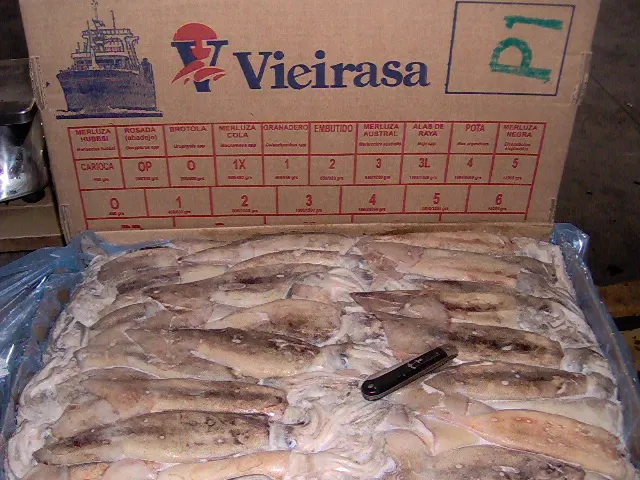 Hot Sale Export China Different Size Black Squid Frozen Seafood Bait 100150g Illex Fish Supplied Red Loligo With High Quality