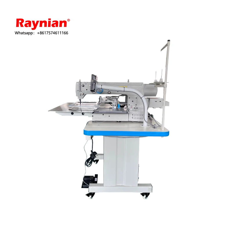 Raynian-30*20F Dahao system programmable electronic pattern sewing machine China factory wholesale sewing machines