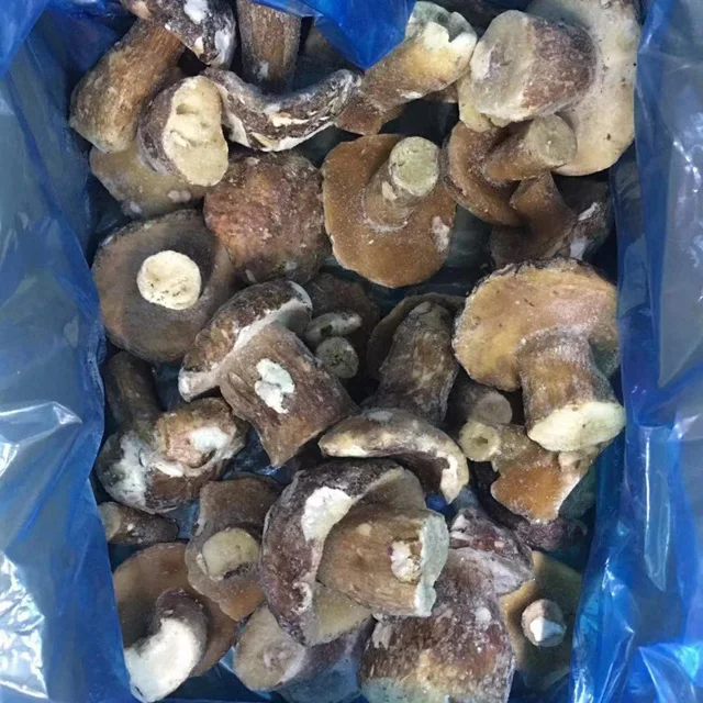 Дикие грибы IQF Boletus Edilus