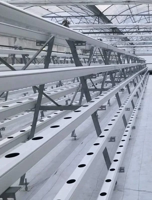 Hezhou Автоматическая сельскохозяйственная гидропонная система безмасляного выращивания многопролетная теплица для овощей