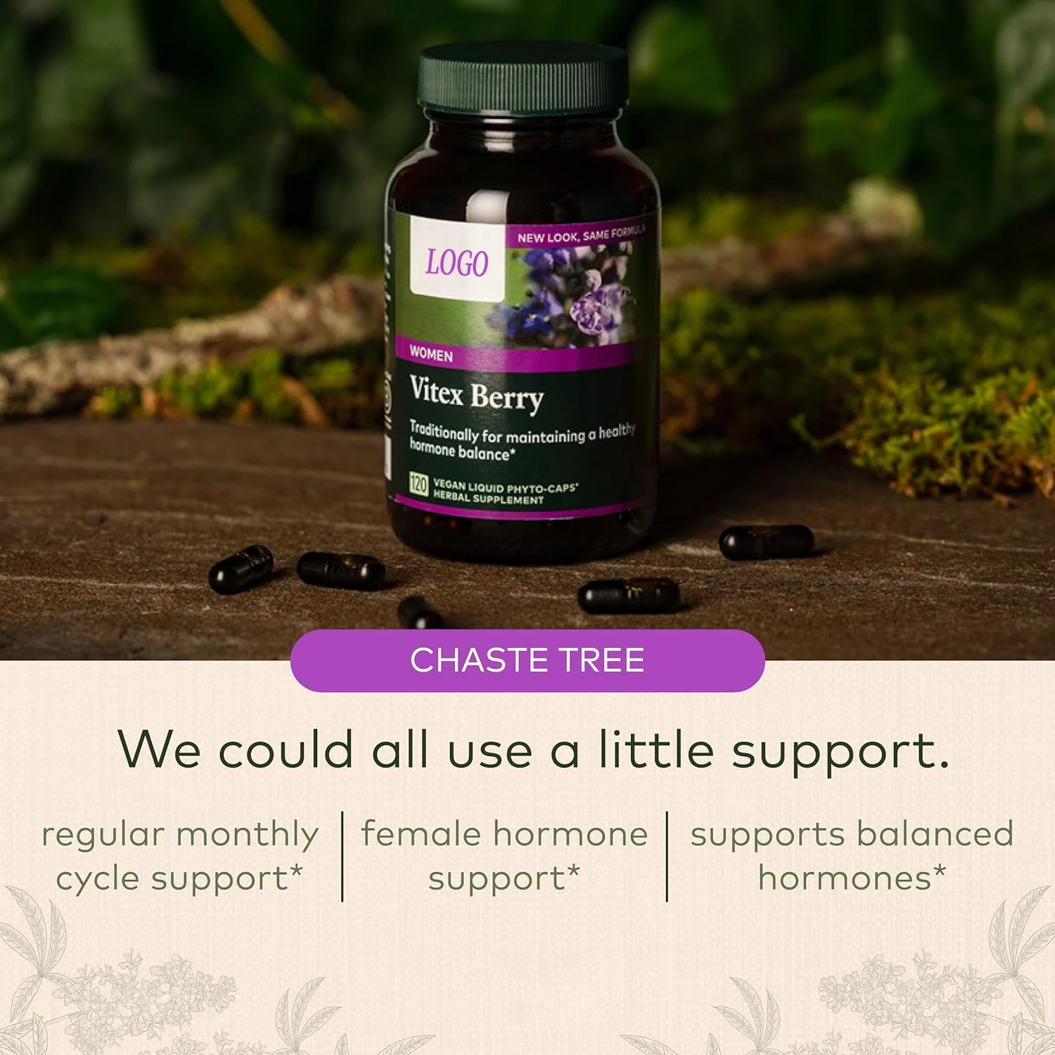 GMP factory Oem Organic Vitex Capsules Vitex Chaste Berry Extract Whole Organic Chaste Berry All-natural And Non-gmo