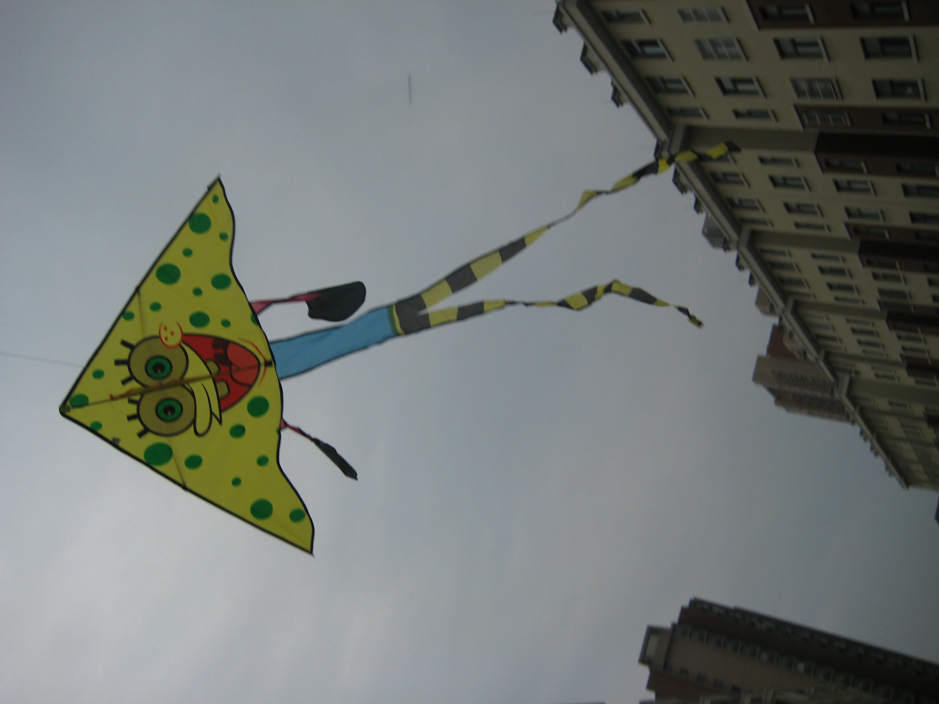 Best Quality China Maufacturer Cartoon Kite Design For Children