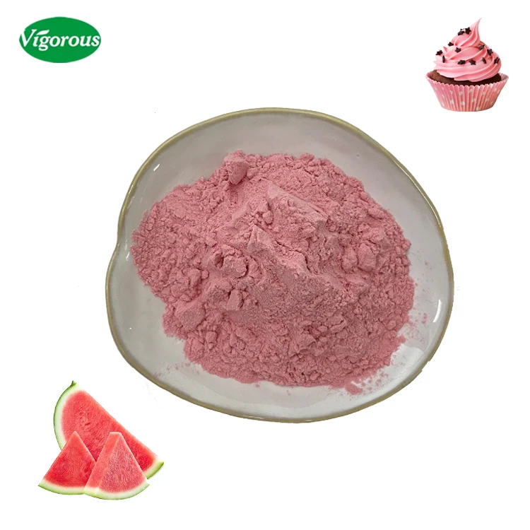 Factory Supply High Quality Free Sample Pure Watermelon Juice Powder Citrullus Lanatus Extract Watermelon