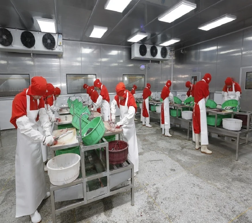 OEM Wholesale Customize Packing High Quality Sushi Japanese Unagi Kabayaki BBQ Broiled River Roasted Eel