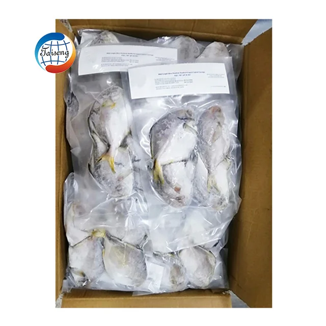 China Farming Fresh Silver Pomfret Fish IWP IQF Whole Round 400-600g Frozen White pomfret fish