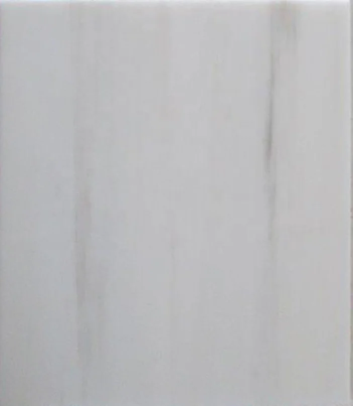 Bianco Dolomite Marble Tile Polished Honed Good Price Floor For House Marmara White Turkey