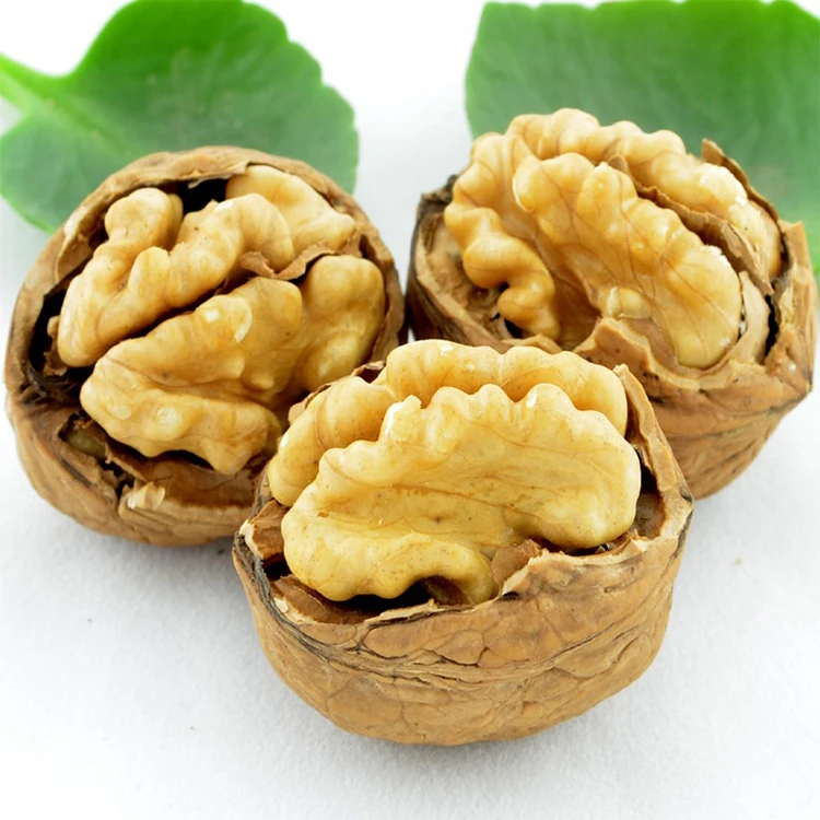 High Quality Cheap Price walnuts kernel shell raw walnut kernel