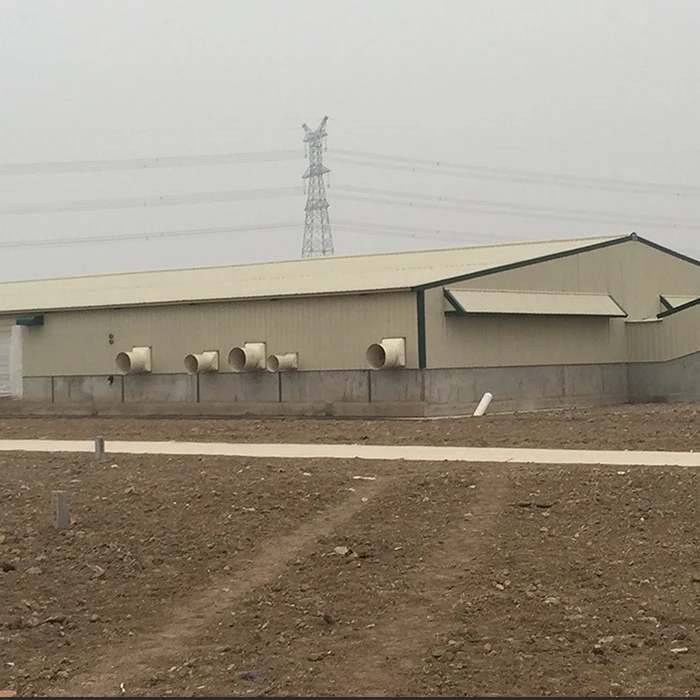 Cow Farming Shed Farm House Chicken Wood