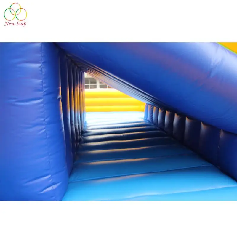Large Dry or Wet Slides Inflatable Water Slide With Separate Pool