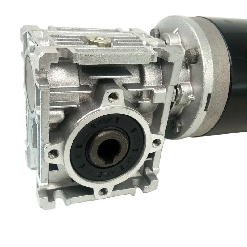 
Electric Gear Motor 24V 500W 12V Worm Drive Dc Motor 