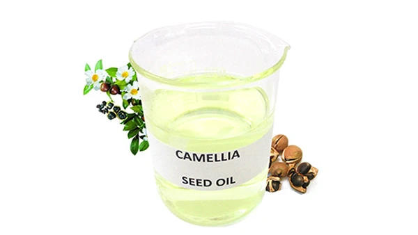 
Hot sale Natural Pure cold press purified camellia seed oil for skin care 